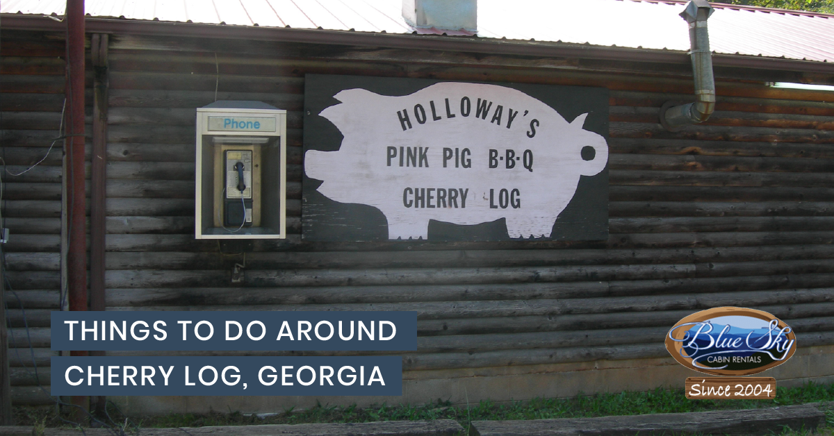 Things to Do Around Cherry Log, GA Blue Sky Cabin Rentals